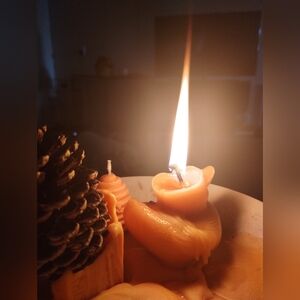 Orange scented duck candle